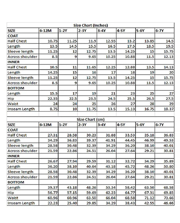 Terry Full SLeeves Lion Embroidered 3 Piece Party Suit Set - Navy Blue