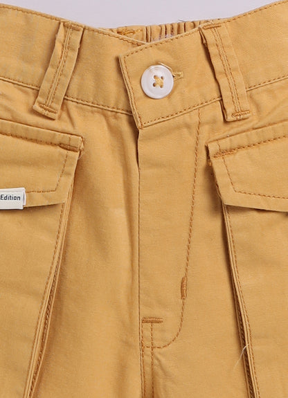 Boys Pure Cotton  Pineapple Printed Shirt  & Shorts Set with Suspender and Bow - Green