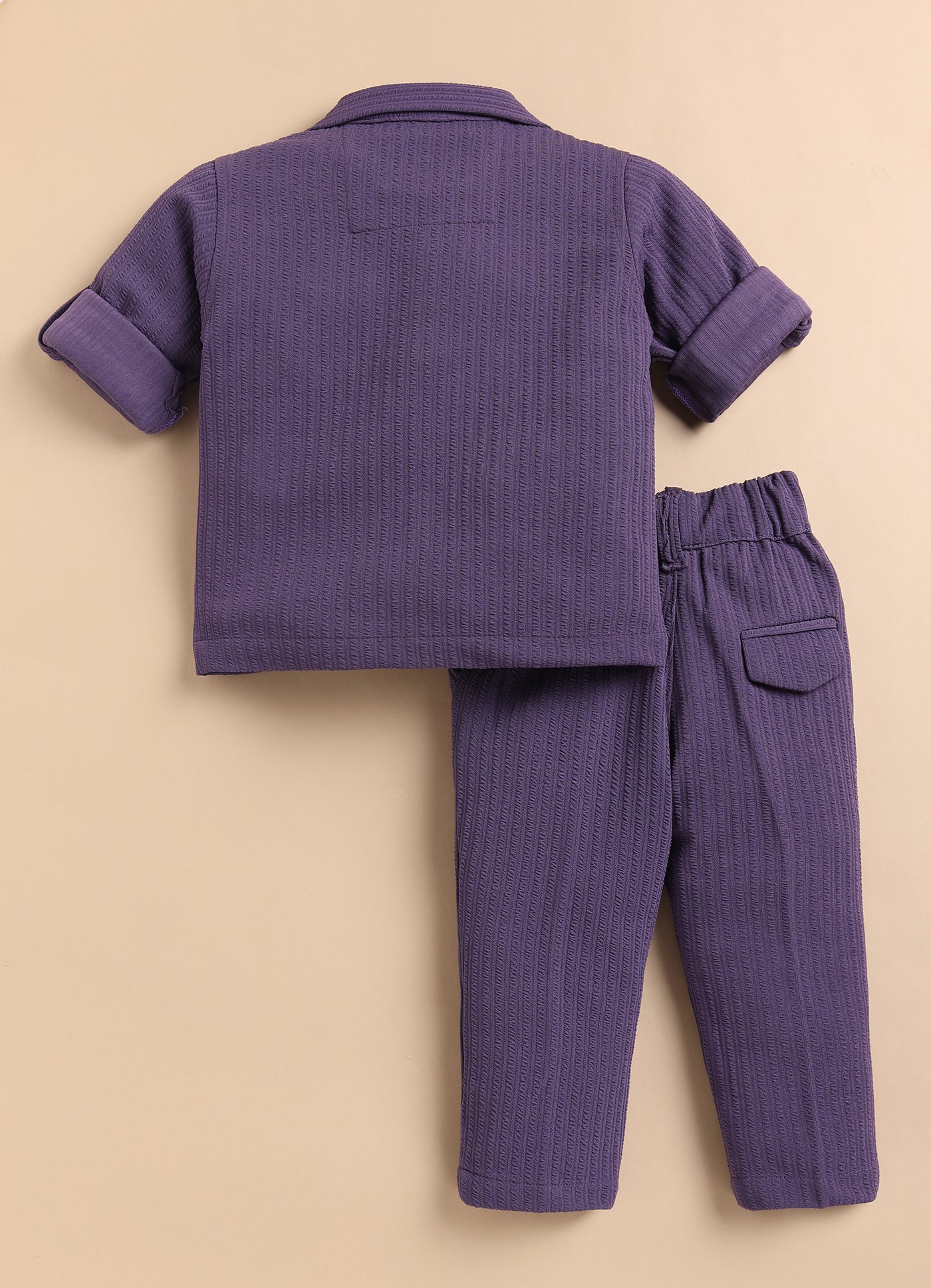Solid Bright Airport Look Coord with Tshirt Casual Co-ord Set - Purple