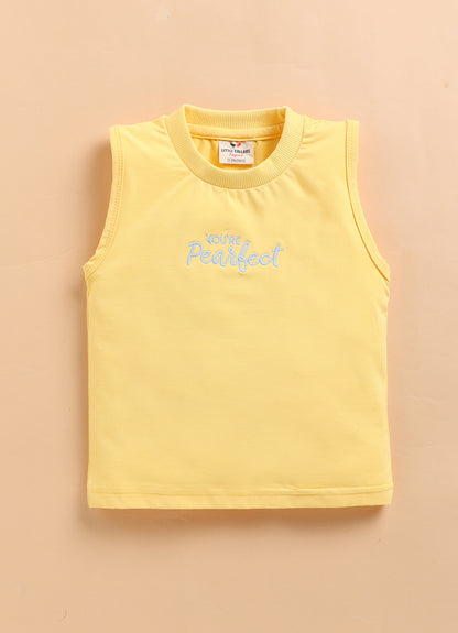 Pure Cotton Woven Half Sleeves Checks Shirt with Pear Embroidery, Pant with T-shirt Casual Set- Sky