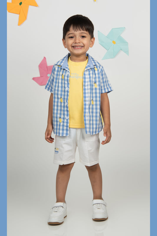 Pure Cotton Woven Half Sleeves Checks Shirt with Pear Embroidery, Pant with T-shirt Casual Set- Sky